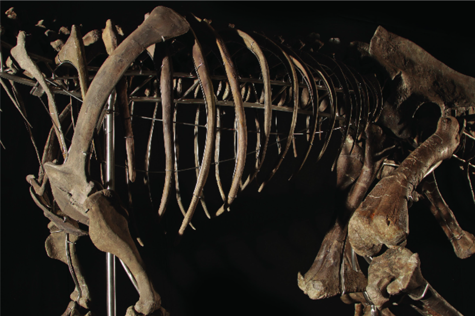 Dinosaur skeleton – $2.3 million (£1.9m)